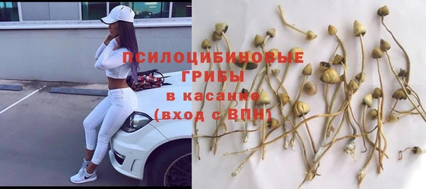 ПСИЛОЦИБИНОВЫЕ ГРИБЫ Богородск