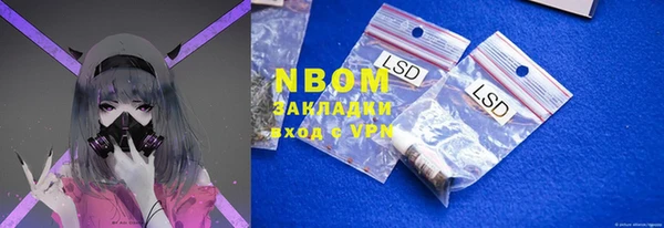 СК Бронницы