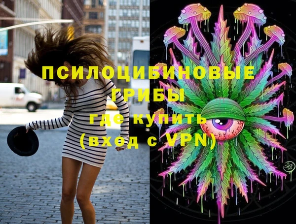 СК Бронницы