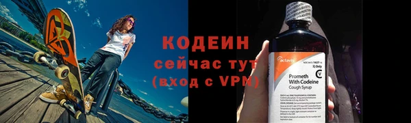 СК Бронницы