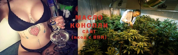 СК Бронницы