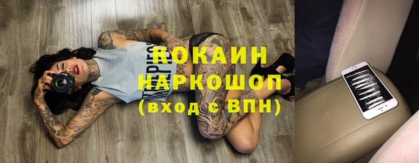 MESCALINE Бородино